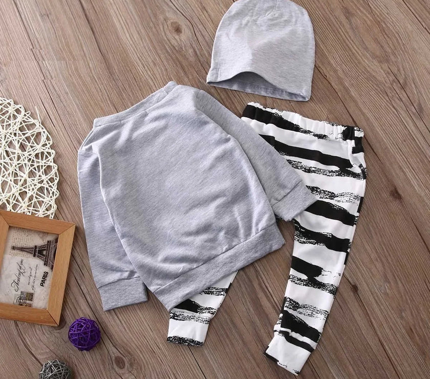 Sunny Baby Spring Autumn Toddler Boys Clothing Set